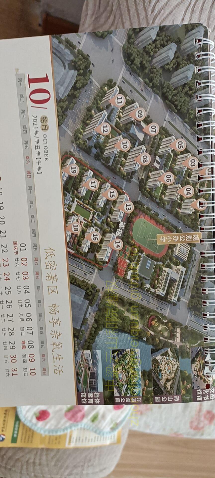 台历表明小学规划