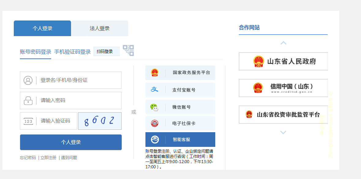 山东省人民政府网上信访流程
