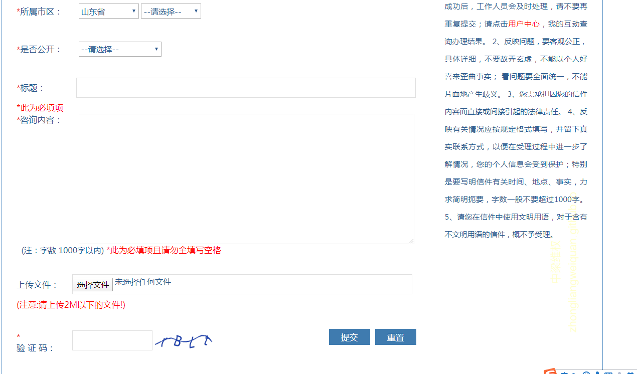 山东省人民政府网上信访流程